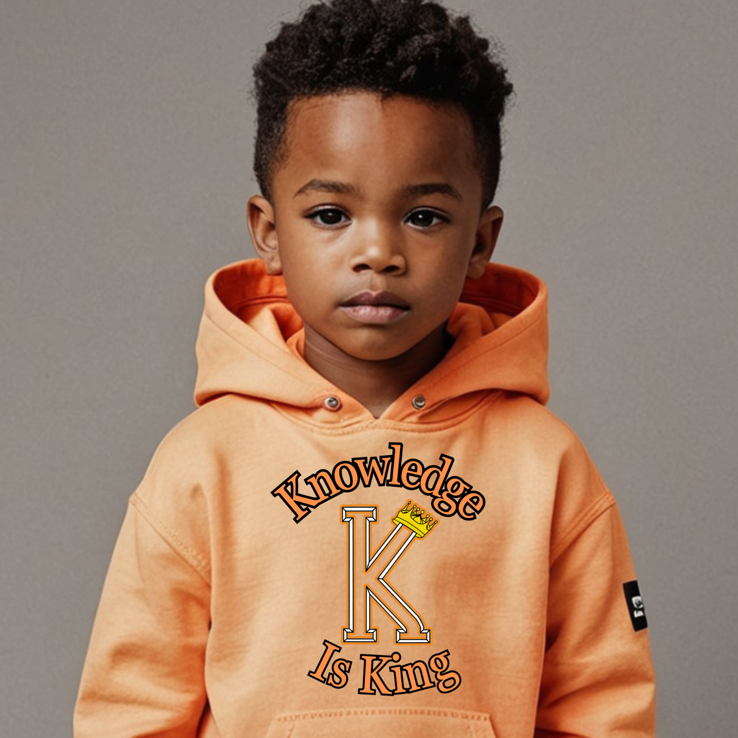 Toddler Hoodie (Crown Main Standard)