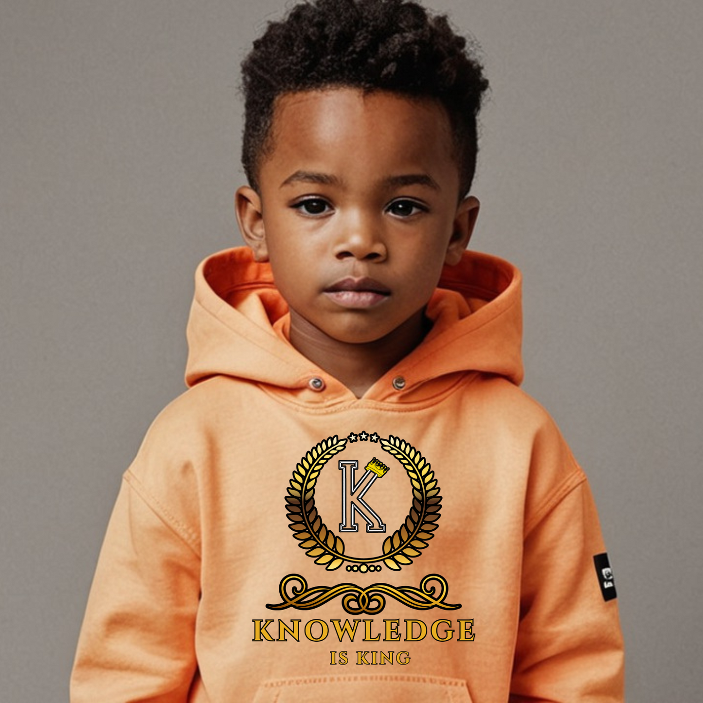 Toddler Hoodie (Crown Golden Reef)